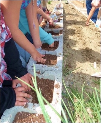 HeadStartGarden (2).jpg