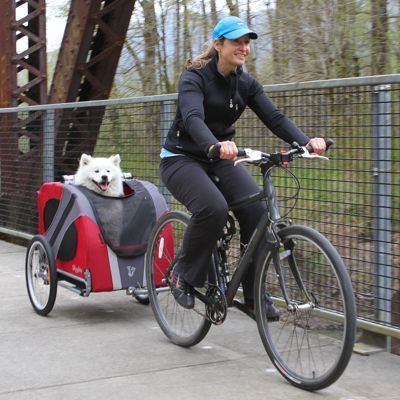 dog on bike 2.jpg