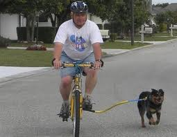 biking w dog.png