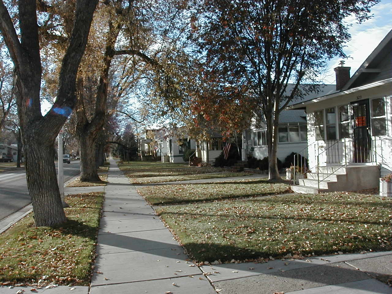 dense beautiful neighborhood