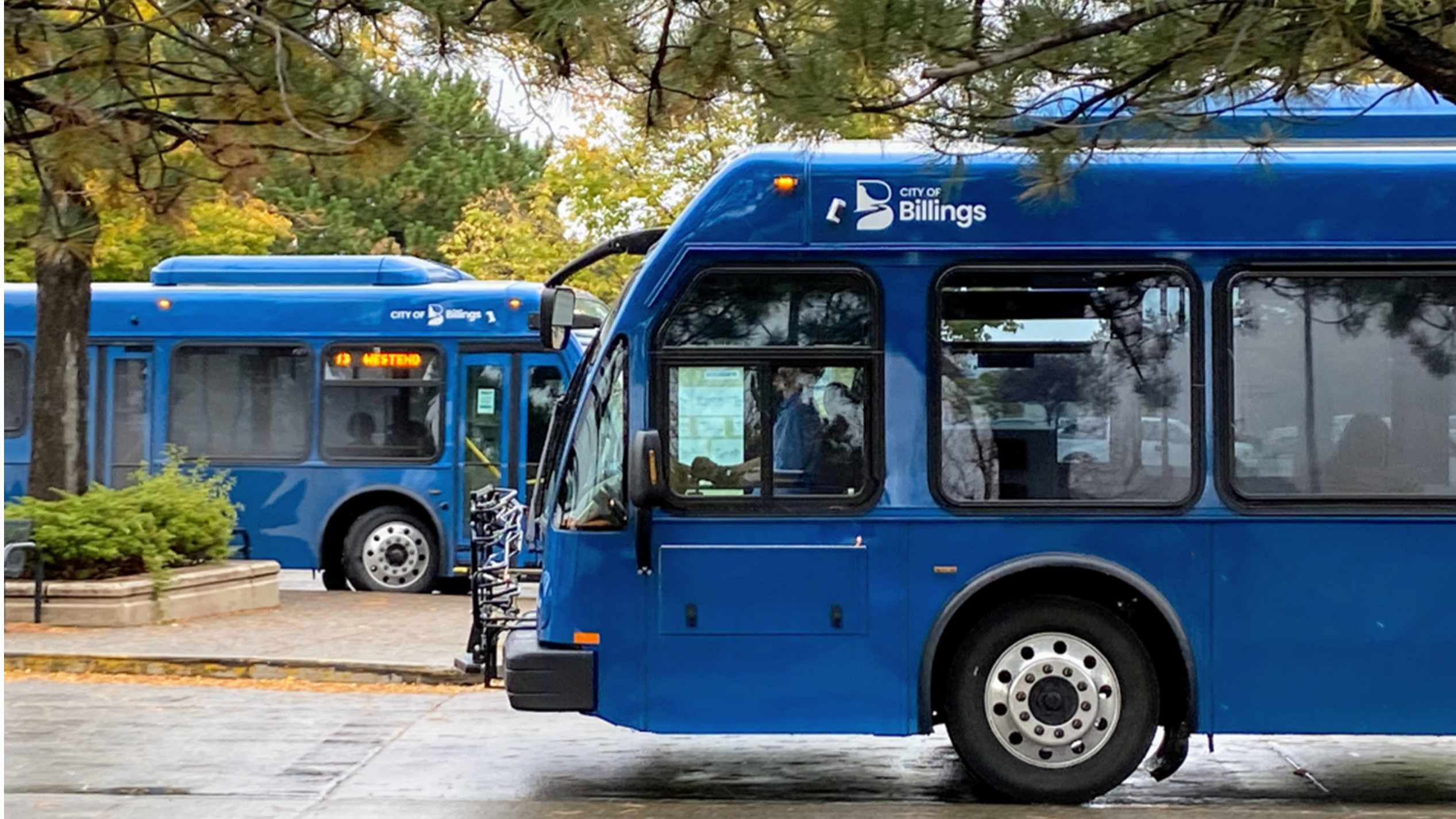 MET Transit buses (JPG)