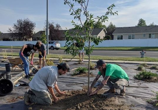 Arbor Day Volunteers Photo