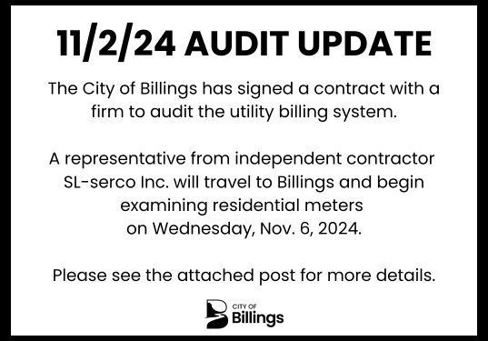 AUDIT UPDATE for Nov 2, 2024