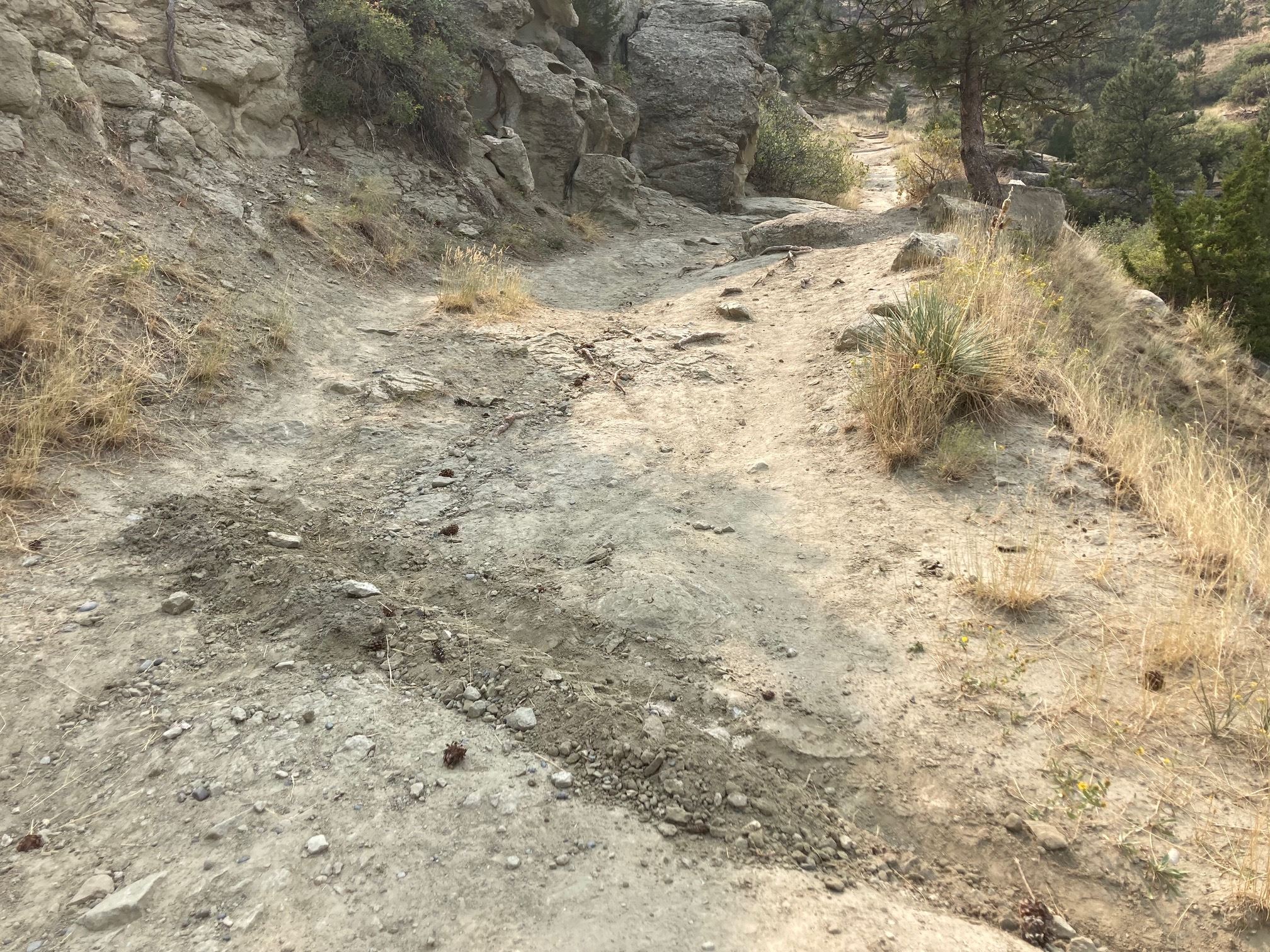 10 completed water bar with limb hidden inside