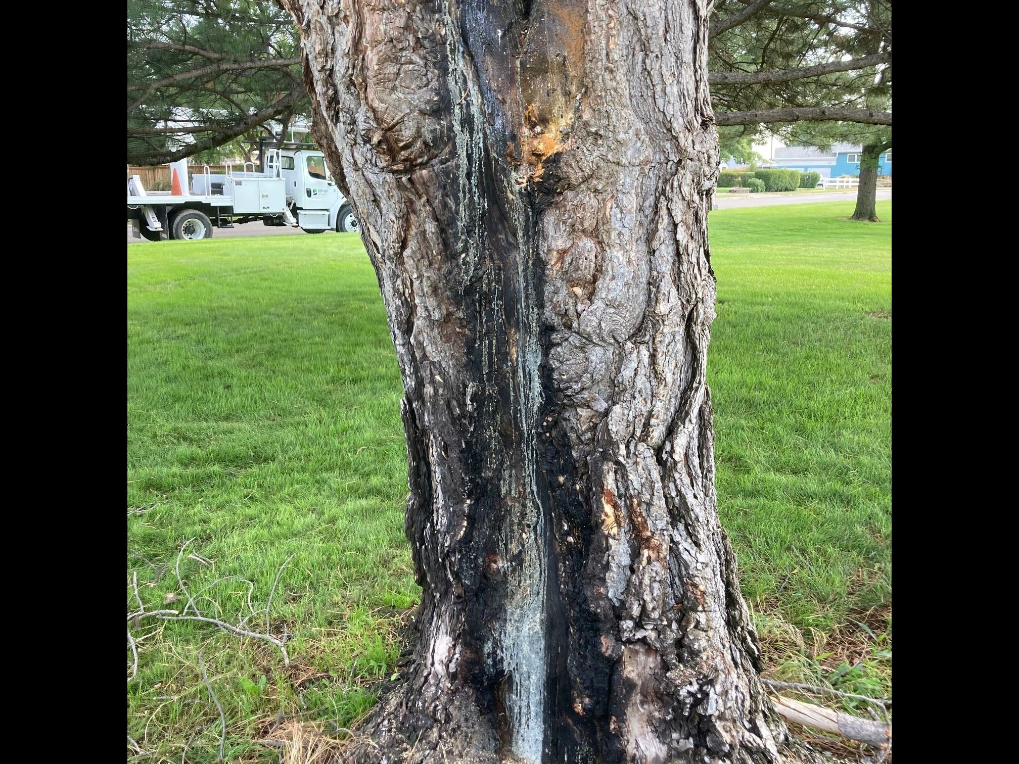 2 mower - lightning - fire damage